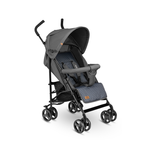 LIONELO ELIA GRAPHITE