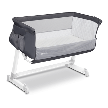 THEO LETTINO DARK GREY LIONELO